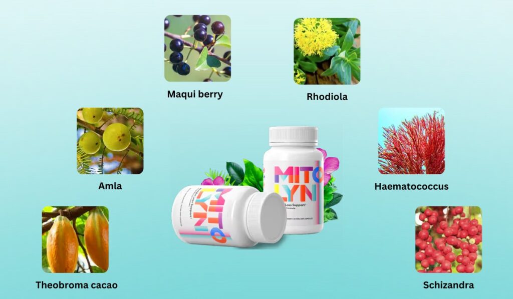 weight loss ingridents